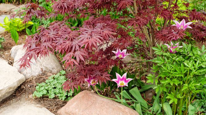 gardening121
