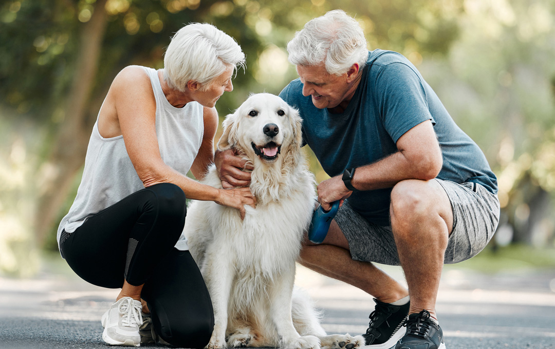 “Exercises” for Mental Health